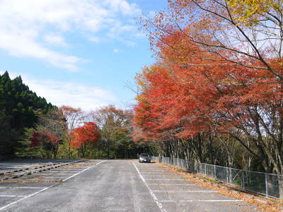 a0254656_1731033.jpg
