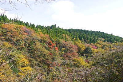 a0254656_1742887.jpg