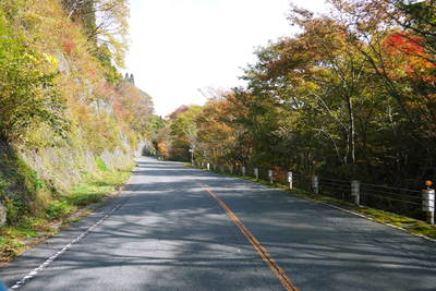 a0254656_1829529.jpg