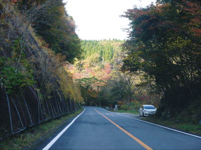 a0254656_1837575.jpg