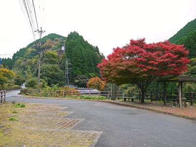a0254656_18413632.jpg