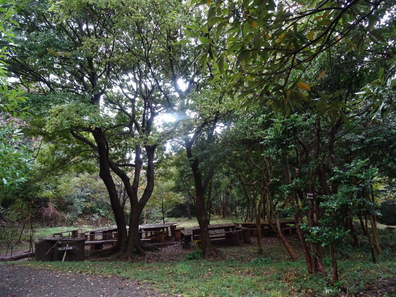 c0108460_19150269.jpg
