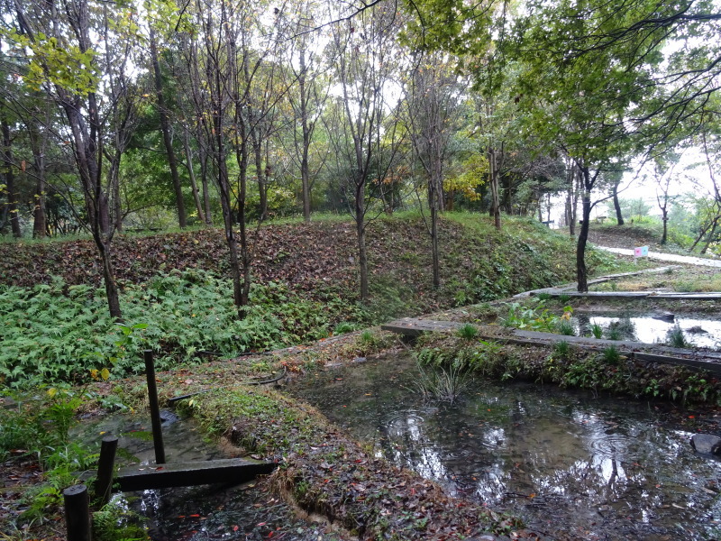 c0108460_19151317.jpg