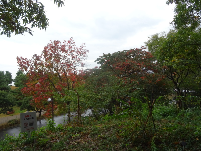 c0108460_19184916.jpg
