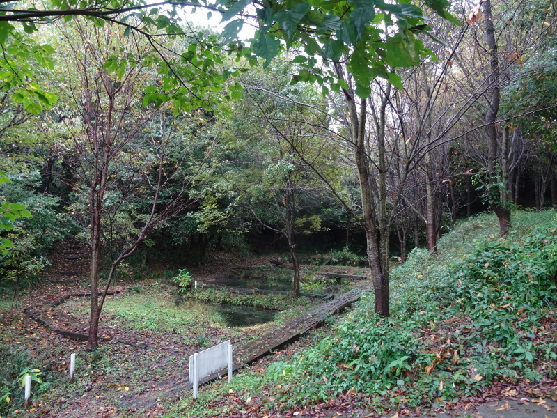 c0108460_19215031.jpg