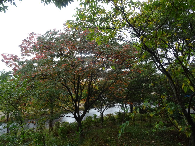 c0108460_19215311.jpg