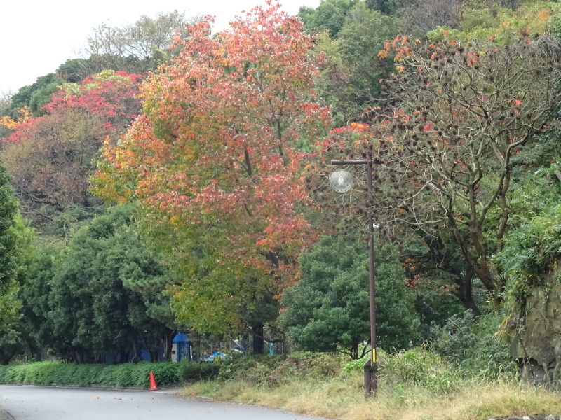c0108460_19220331.jpg
