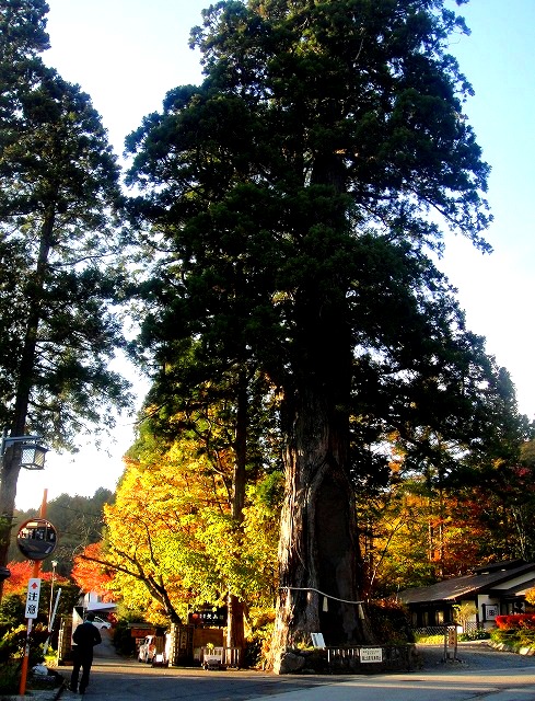 ＜2015年10月＞錦秋の「斑尾山・戸隠山」（北信五岳の山旅）_c0119160_21523559.jpg