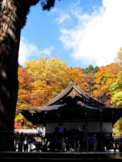 ＜2015年10月＞錦秋の「斑尾山・戸隠山」（北信五岳の山旅）_c0119160_2233174.jpg