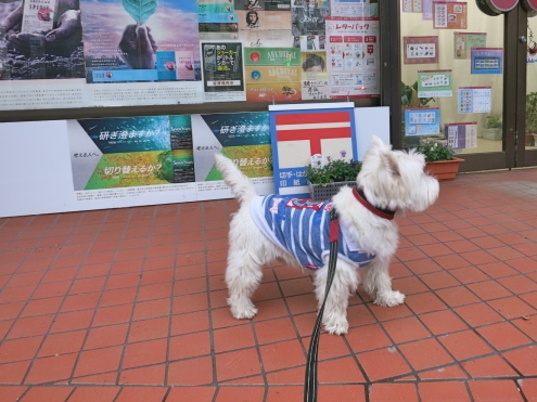 看板娘は百恵さん。_c0260460_16362537.jpg