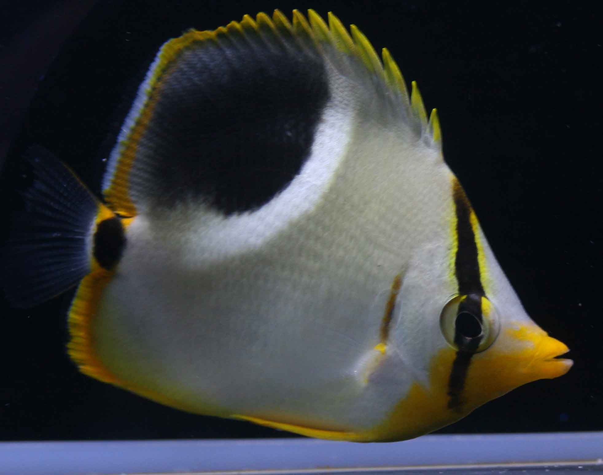 a0162261_17463130.jpg