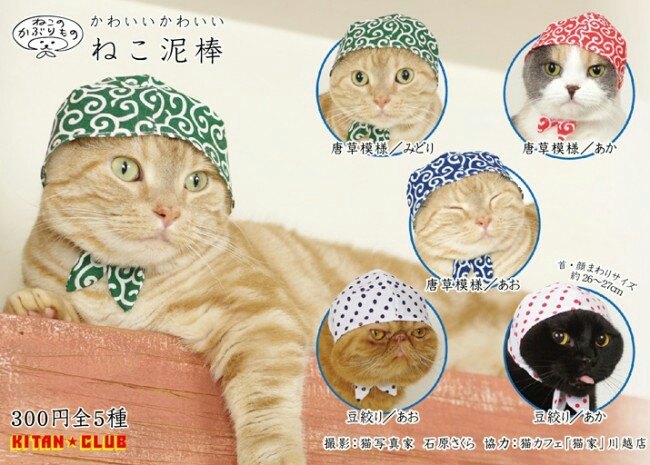 ねこ泥棒_b0328361_20260717.jpg