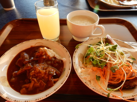 ’15,11,9(月)東北旅③十和田湖~奥入瀬渓流!_f0060461_10311869.jpg