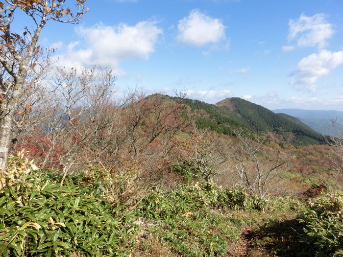 b0185573_14275049.jpg