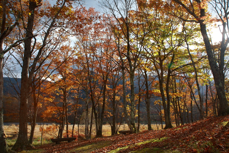 e0165983_919182.jpg