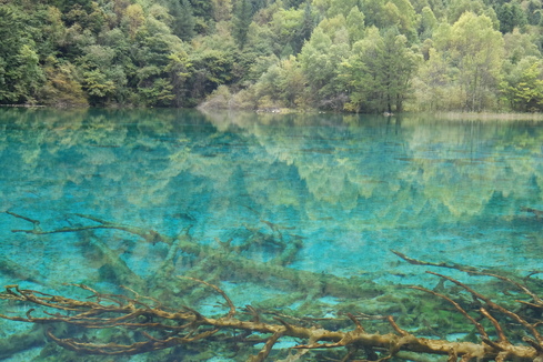 a0207588_21182386.jpg