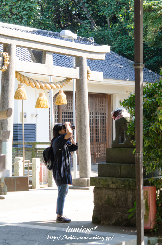 鎌倉さんぽⅠ　-SHRINE-＊_e0352091_18114741.jpg