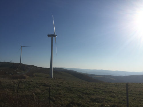 f0236291_108739.jpg