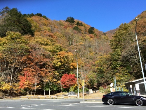 c0347693_21512447.jpg