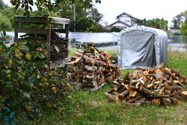 d0100095_15235892.jpg