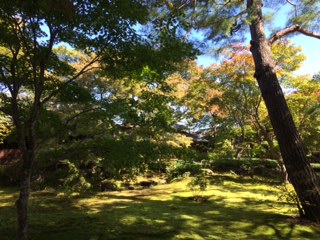 京都 日本美を満喫しました。_d0337795_14183150.jpg