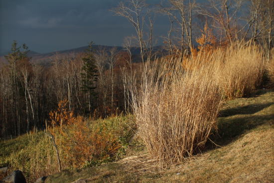 c0090198_1921355.jpg