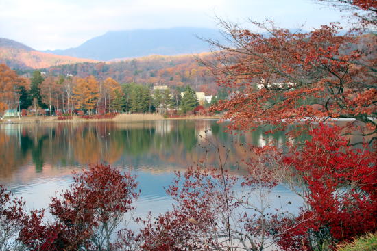 c0090198_19293636.jpg