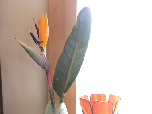 花と実_e0154400_15592862.jpg