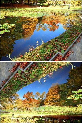 逆さ紅葉。_b0067302_20221940.jpg