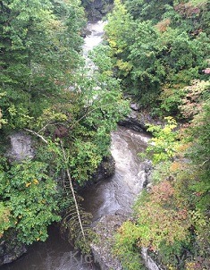 f0164003_17235023.jpg