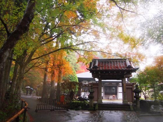箱根 仙石原 長安寺 15 11 08 フランス語と 鎌倉と 私と 箱根 仙石原 長安寺 15 11 08 フランス語と 鎌倉と 私と
