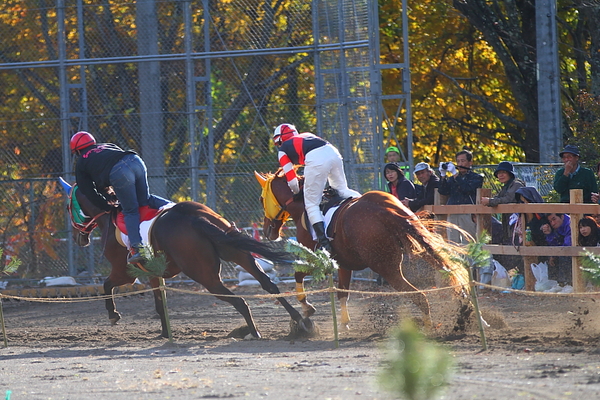 a0251508_2339597.jpg