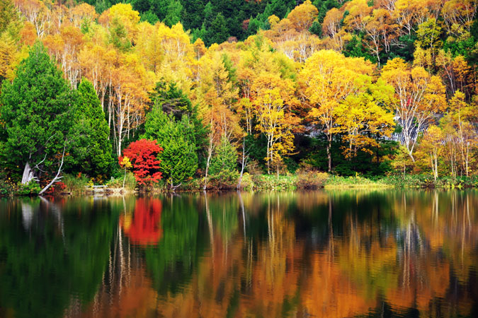 志賀高原　木戸池の紅葉_a0263109_1915351.jpg