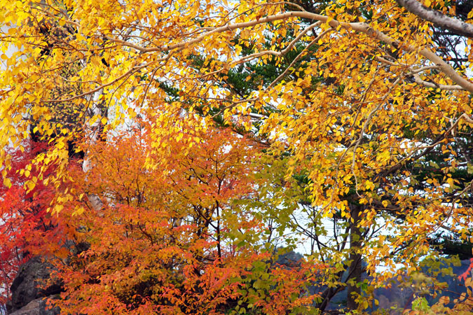 志賀高原　木戸池の紅葉_a0263109_192121.jpg