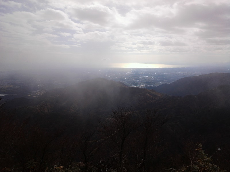 e0099212_2051994.jpg