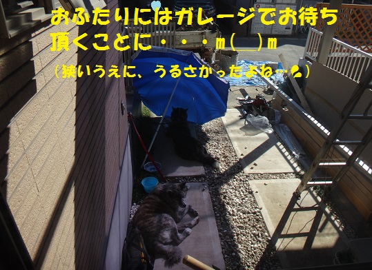 f0121712_8294826.jpg