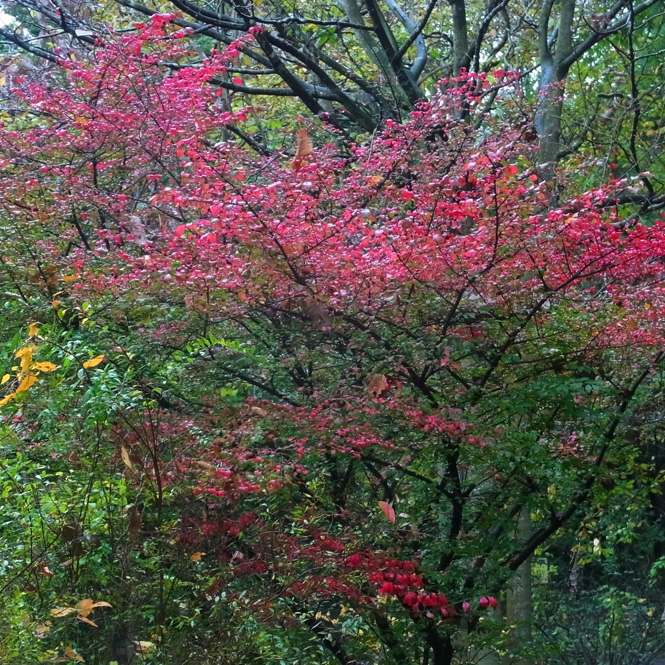 c0190915_1945227.jpg