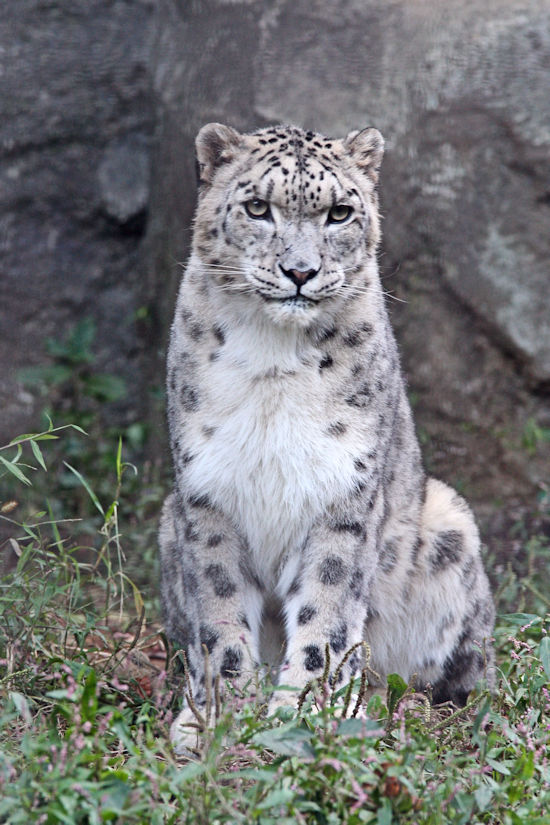 f0224624_2015794.jpg