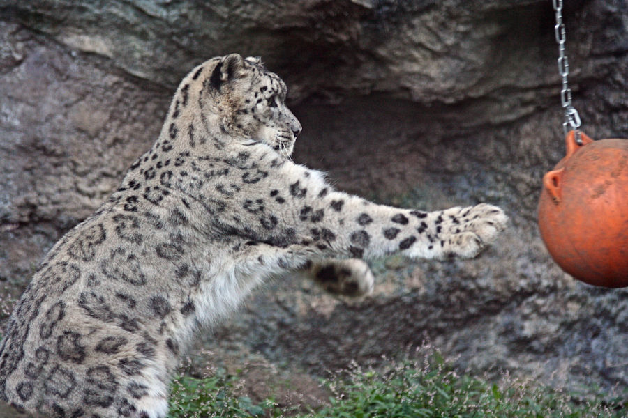 f0224624_2031149.jpg