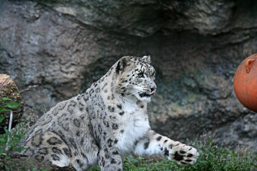 f0224624_2033690.jpg