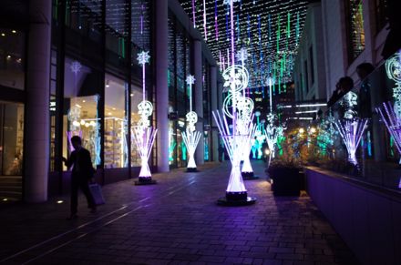 f0132230_973328.jpg