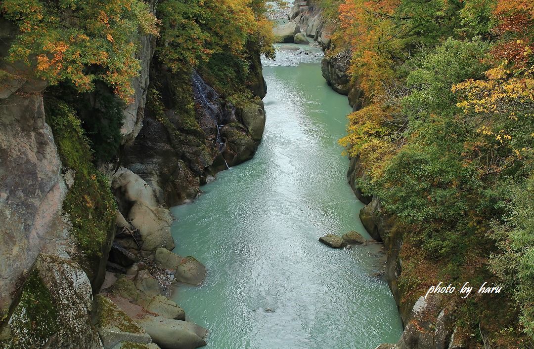 f0297537_17552881.jpg