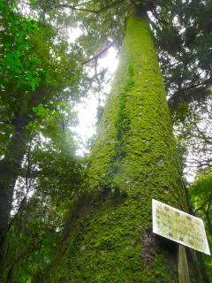 b0325640_20305868.jpg