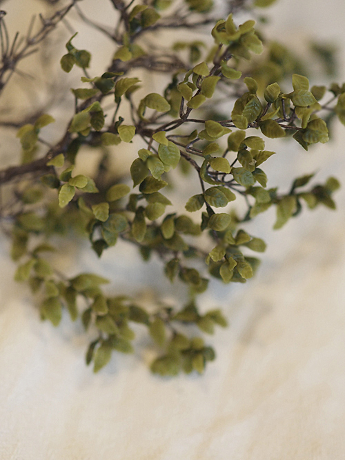 miniature* Tree と、週末のお出かけ。_e0172847_15122820.jpg