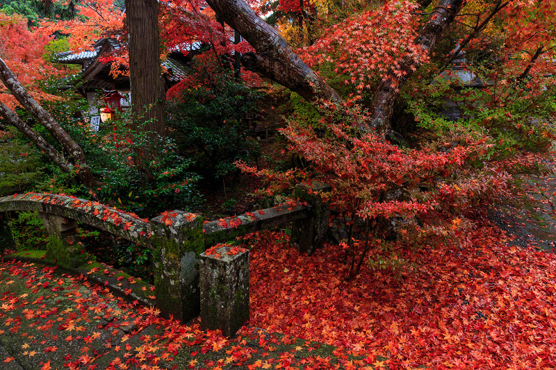 京都の紅葉2015・彩秋（鍬山神社）_f0155048_2311081.jpg