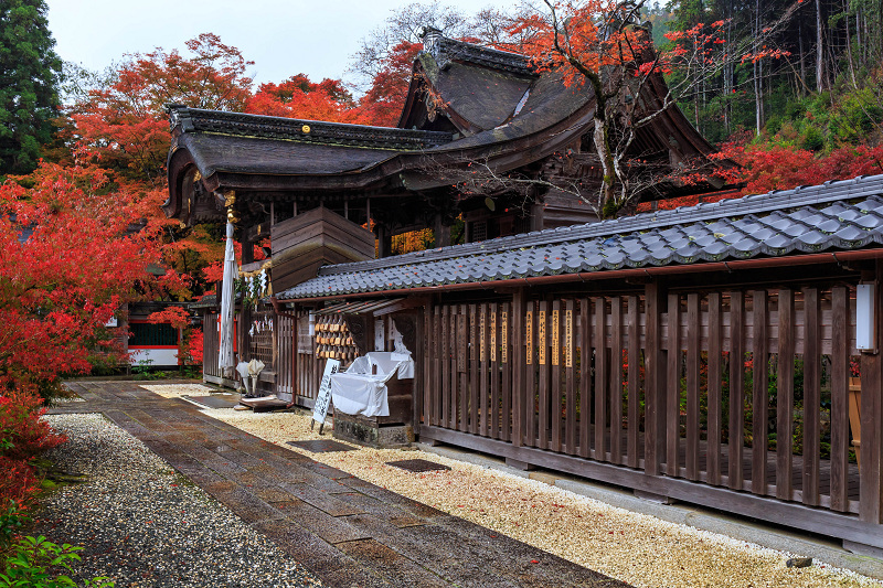 京都の紅葉2015・彩秋（鍬山神社）_f0155048_23122069.jpg