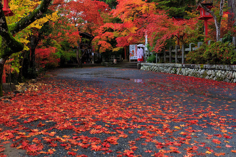 京都の紅葉2015・彩秋（鍬山神社）_f0155048_2371628.jpg