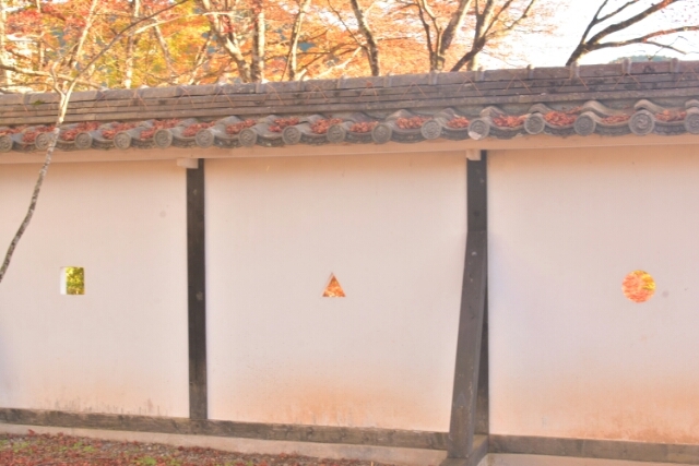 紅葉の郡上八幡城  その2_a0055650_20252757.jpg