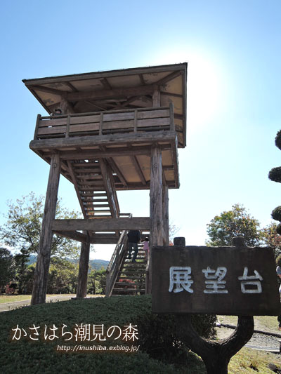 柴犬と絶景のパノラマを眺める\"かさはら潮見の森\"@岐阜県多治見市_a0286855_6243028.jpg