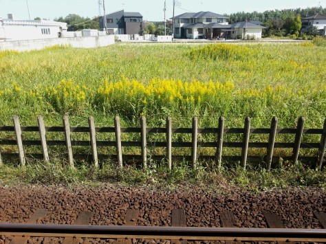 ぶらり途中下車～小湊鉄道・上総村上駅、光風台駅_f0217855_20300265.jpg